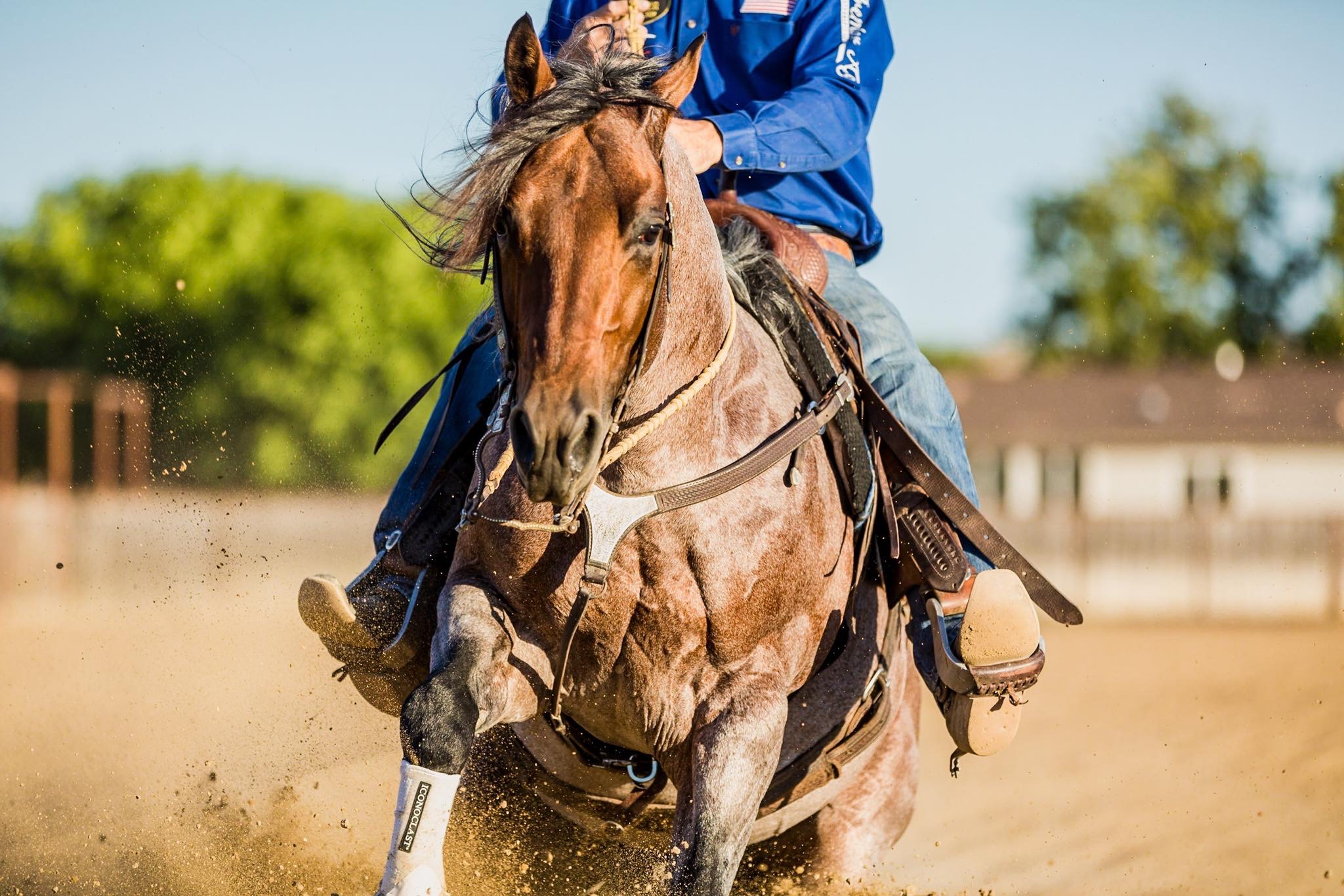 Call Me Mitch NRCHA Worlds Greatest Horseman Champion Santa Lucia Farm