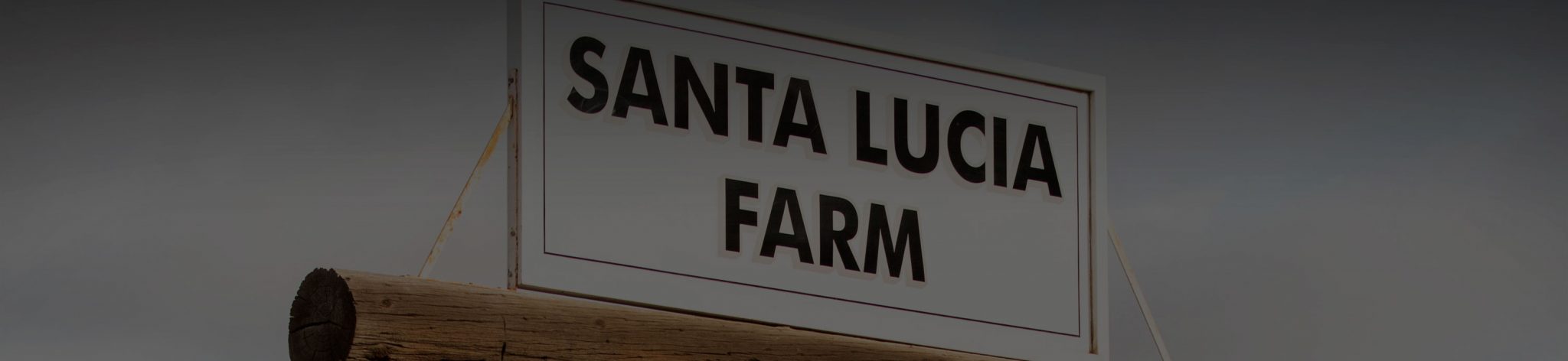Call Me Mitch - NRCHA Worlds Greatest Horseman Champion - Santa Lucia Farm