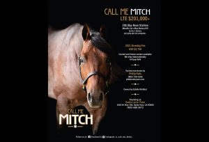Call Me Mitch - NRCHA Worlds Greatest Horseman Champion - Santa Lucia Farm