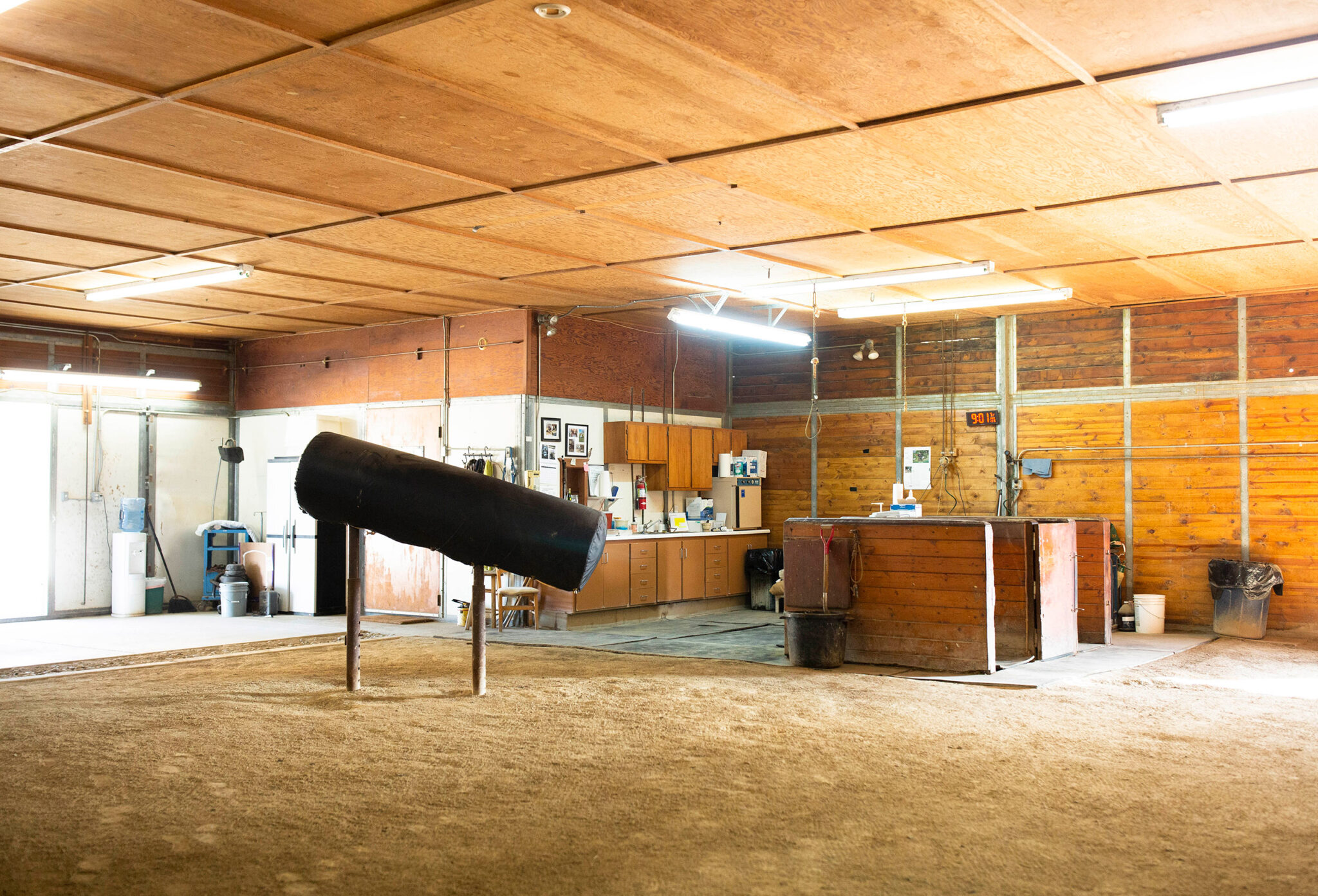 Stallion Collection Services Reproduction - Santa Lucia Farm