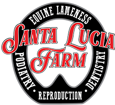 Call Me Mitch - NRCHA Worlds Greatest Horseman Champion - Santa Lucia Farm